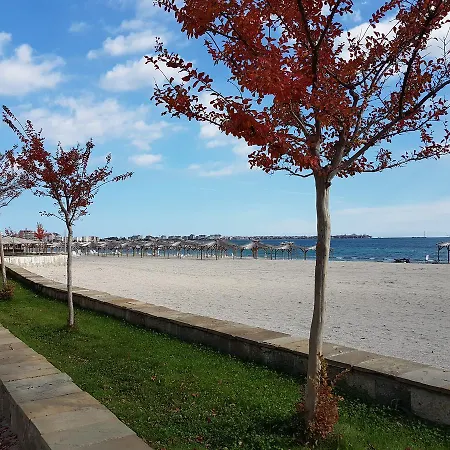 Rent Flora Beach *